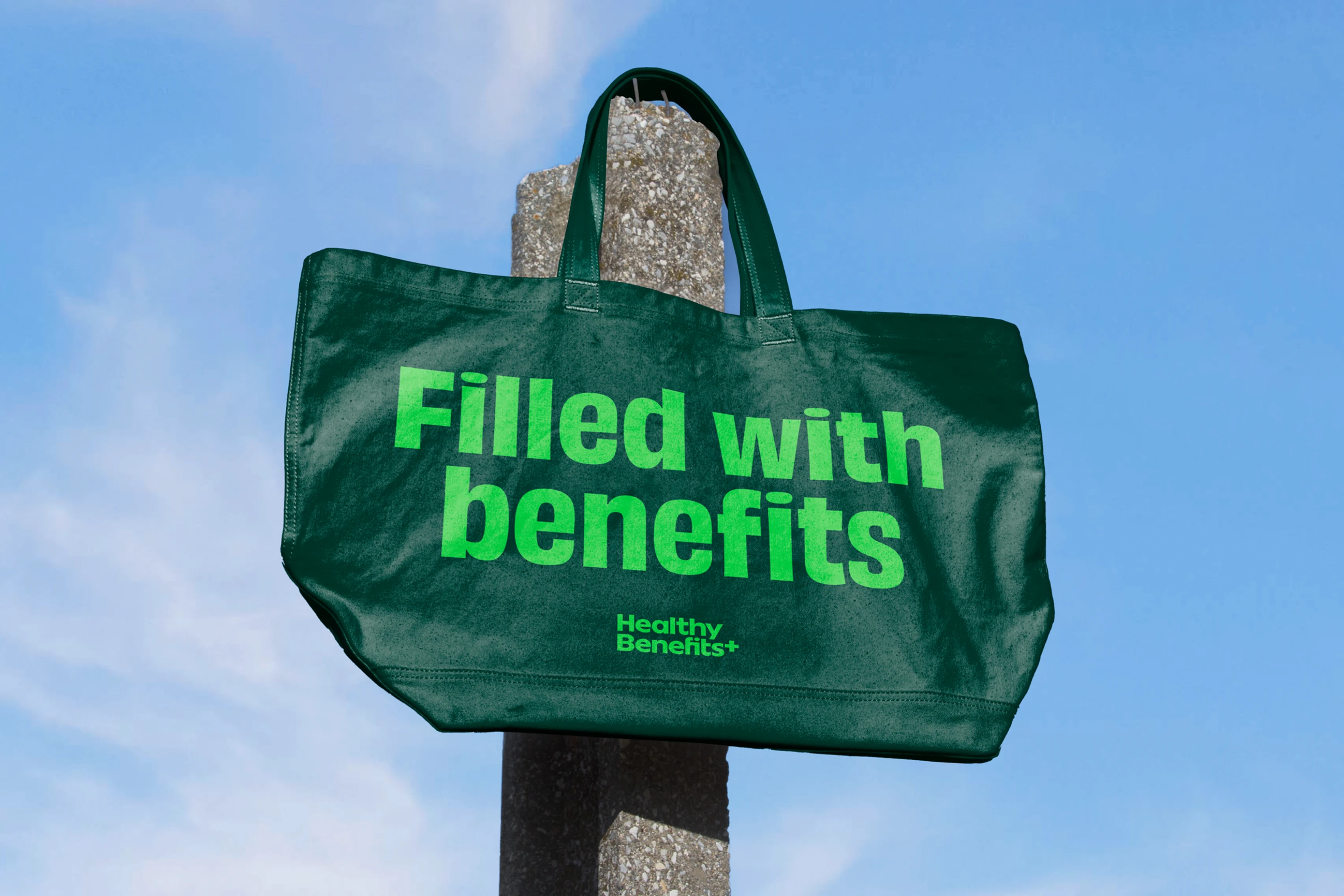Healthy Benefits+ project cover